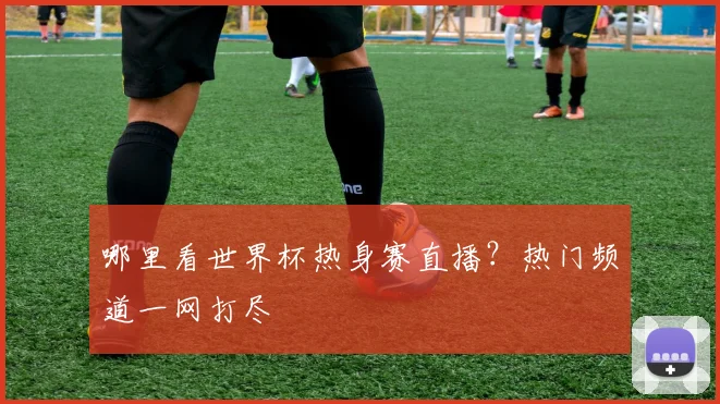 哪里看世界杯热身赛直播？热门频道一网打尽